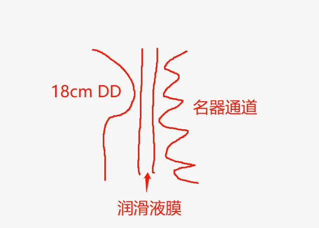 图片[2]-你真的会用润滑液吗？ 3元-100元，5款润滑油测评大揭秘-叆偶AIOULA测评网